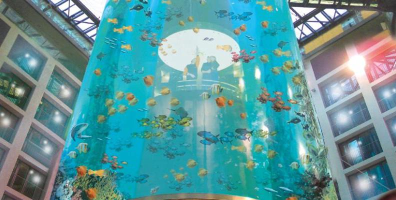 Aquadom Berlin: Das größte zylindrische Aquarium der Welt